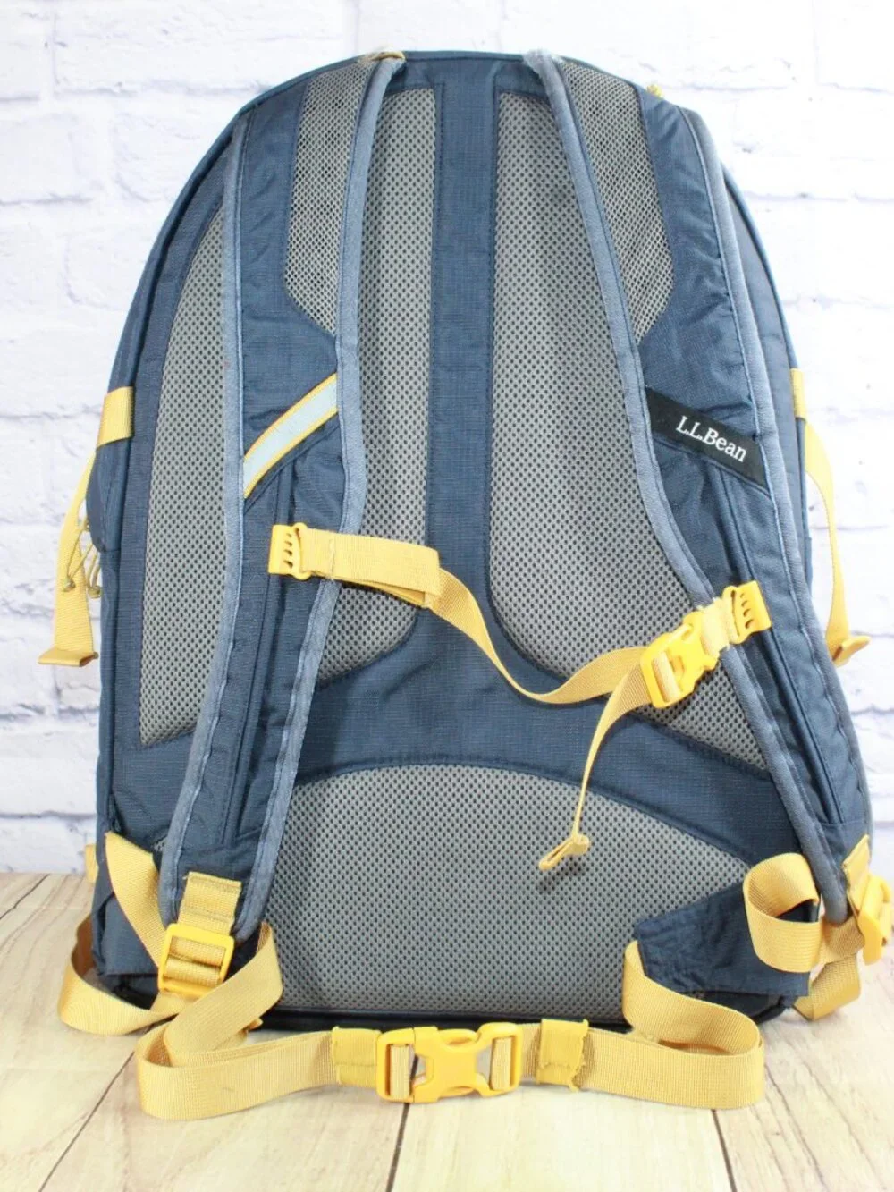 READ–LL Bean Unisex Adult Comfort Carry Portable Locker Pack 42L Backpack Hiking